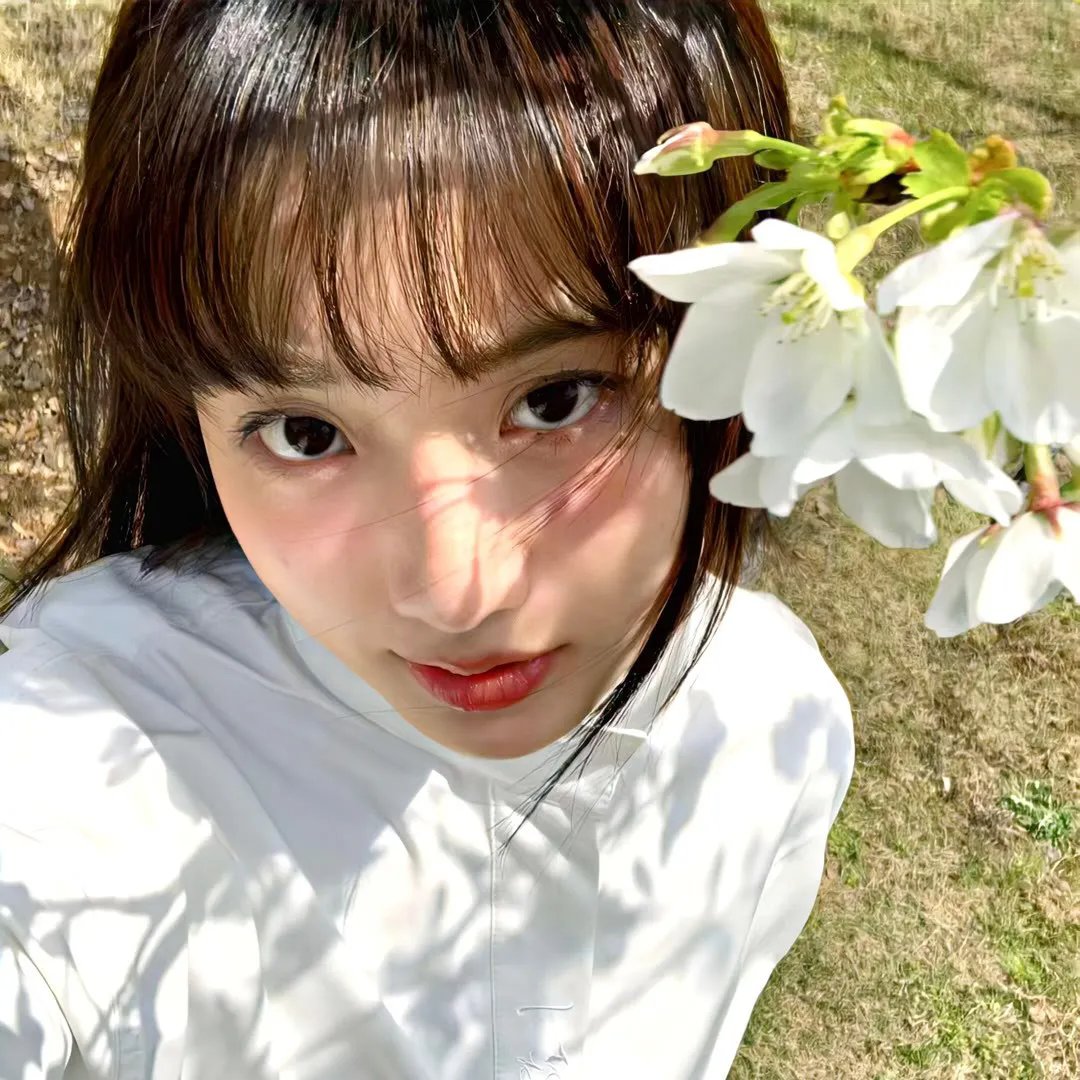 桂宝之爆笑闯宇宙